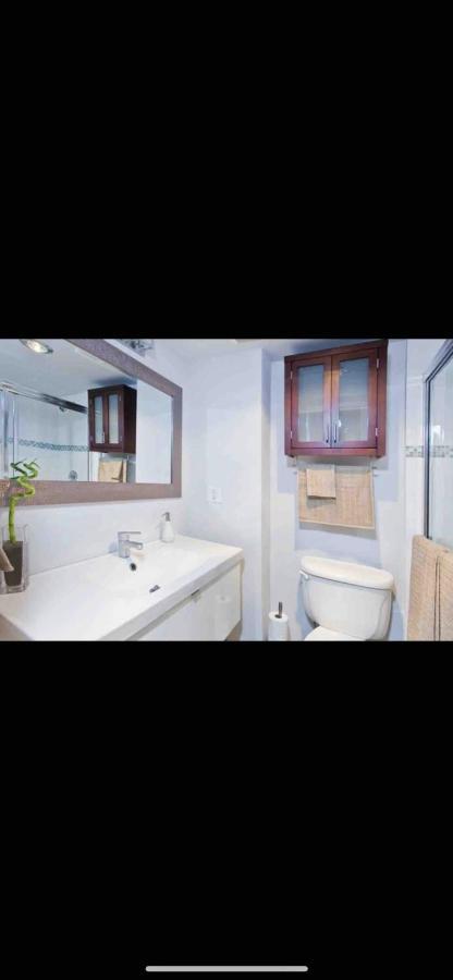 Cozy Vancouver Condo المظهر الخارجي الصورة